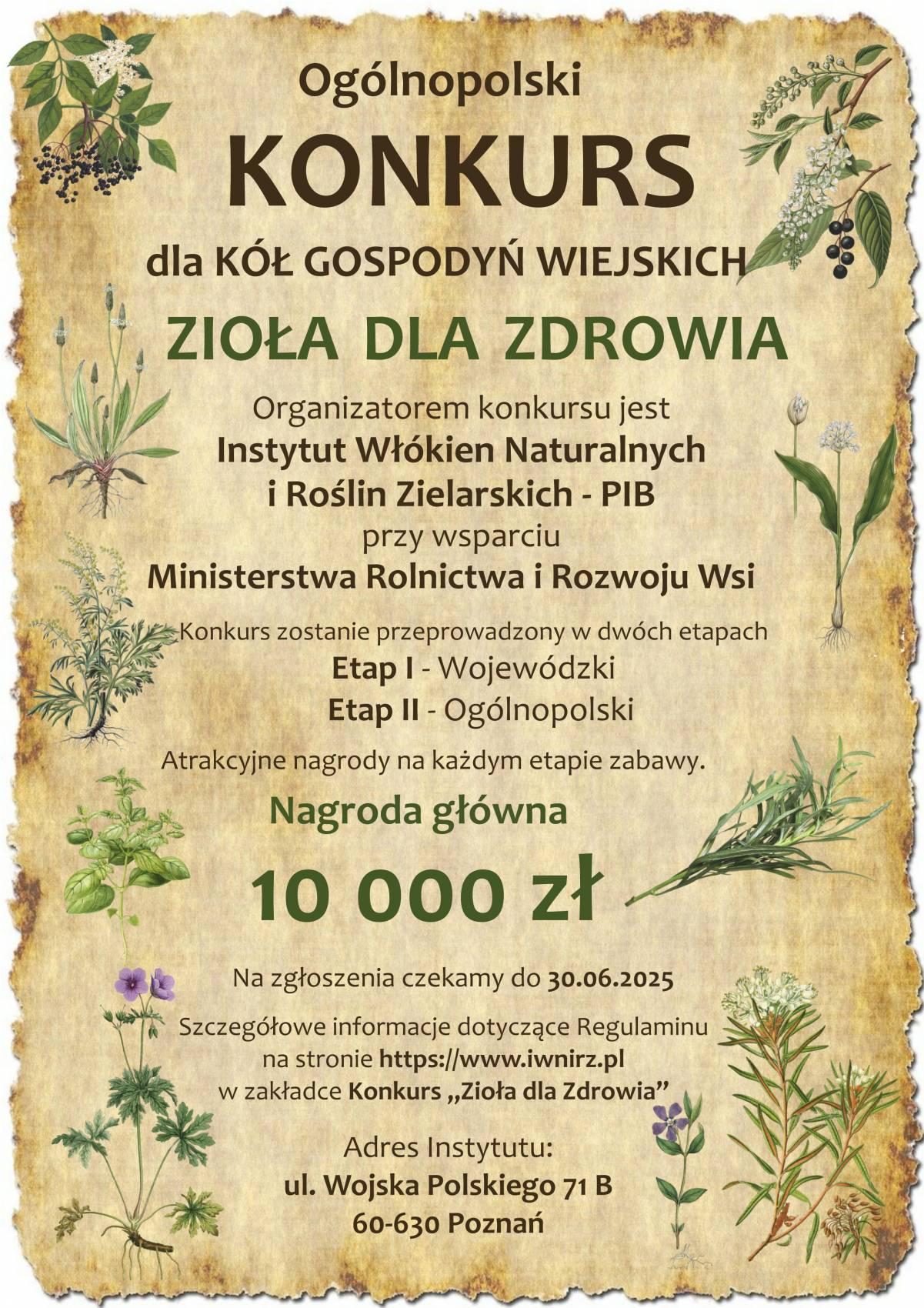 ziola