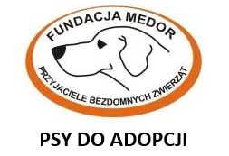 Adoptuj PSA