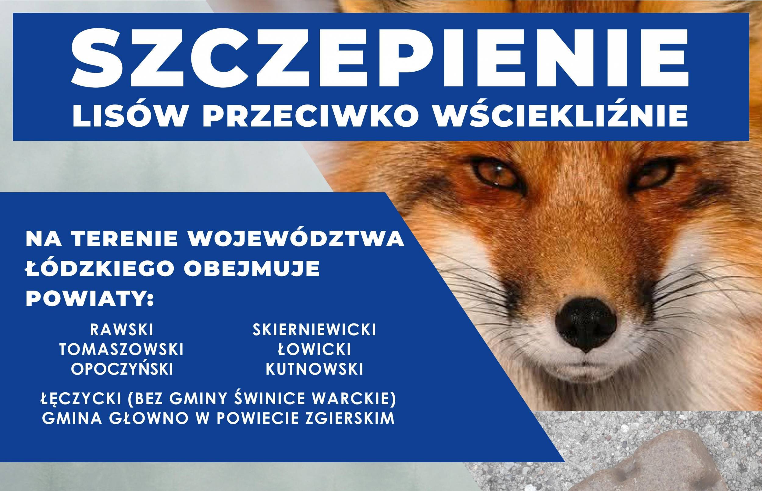 Jesienna Akcja Szczepienia Lisów