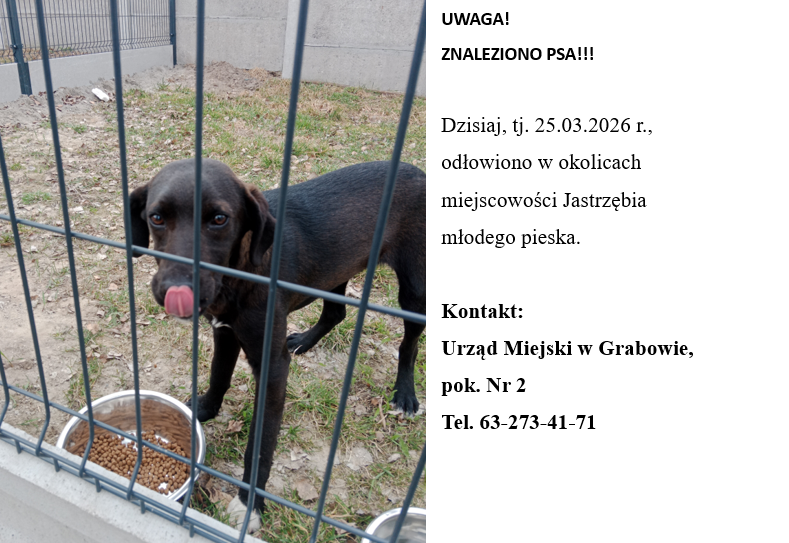 UWAGA! ZNALEZIONO PSA!!!