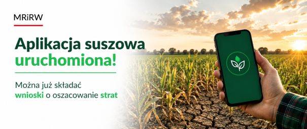 Uruchomiono nabór wniosków o szacowanie strat w uprawach rolnych spowodowanych SUSZĄ