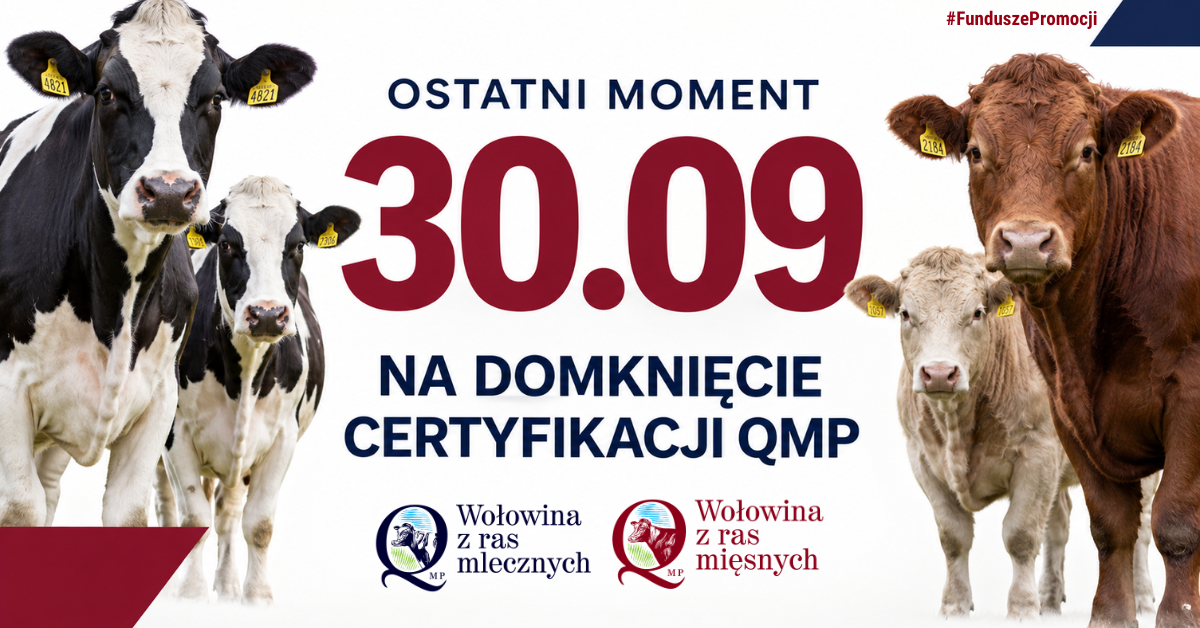 Baner-QMP-do-3009