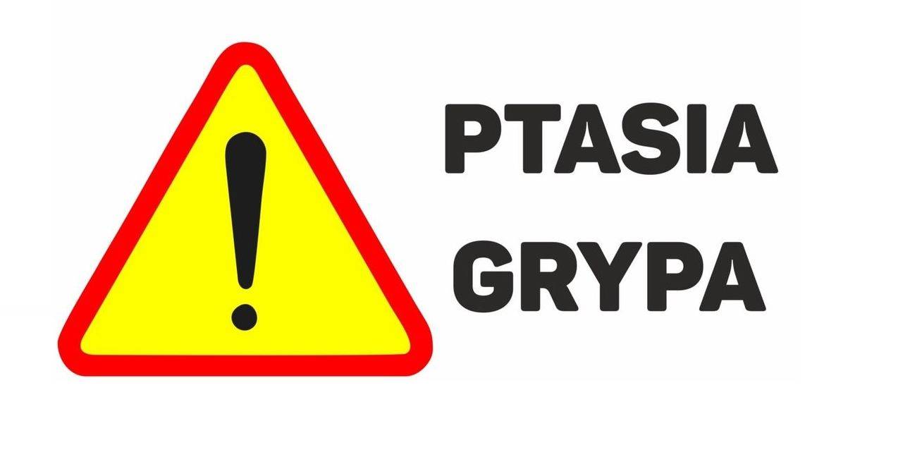 pTASIA-gRYPA