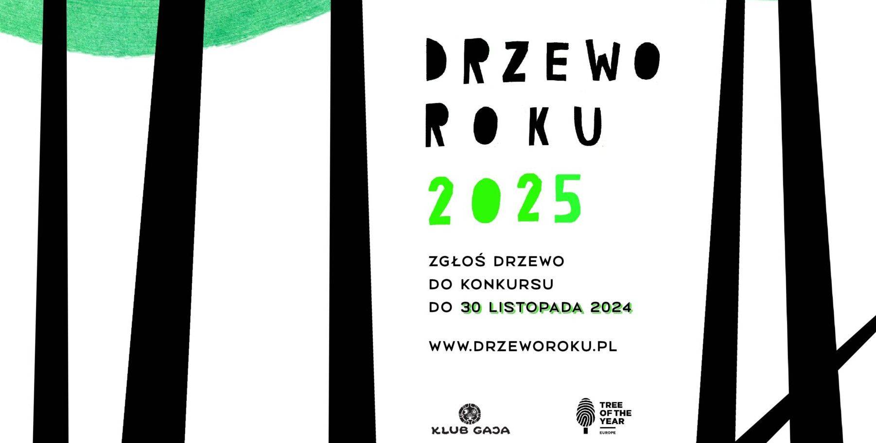 Konkurs Drzewo Roku 2025