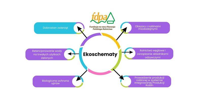 Zaproszenie na webinar